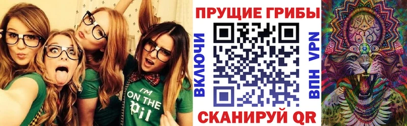 Псилоцибиновые грибы мухоморы  Купить закладки  Хилок 